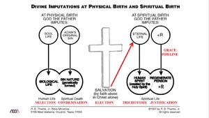 Divine Imputations at Physical Birth and Spiritual Birth.png